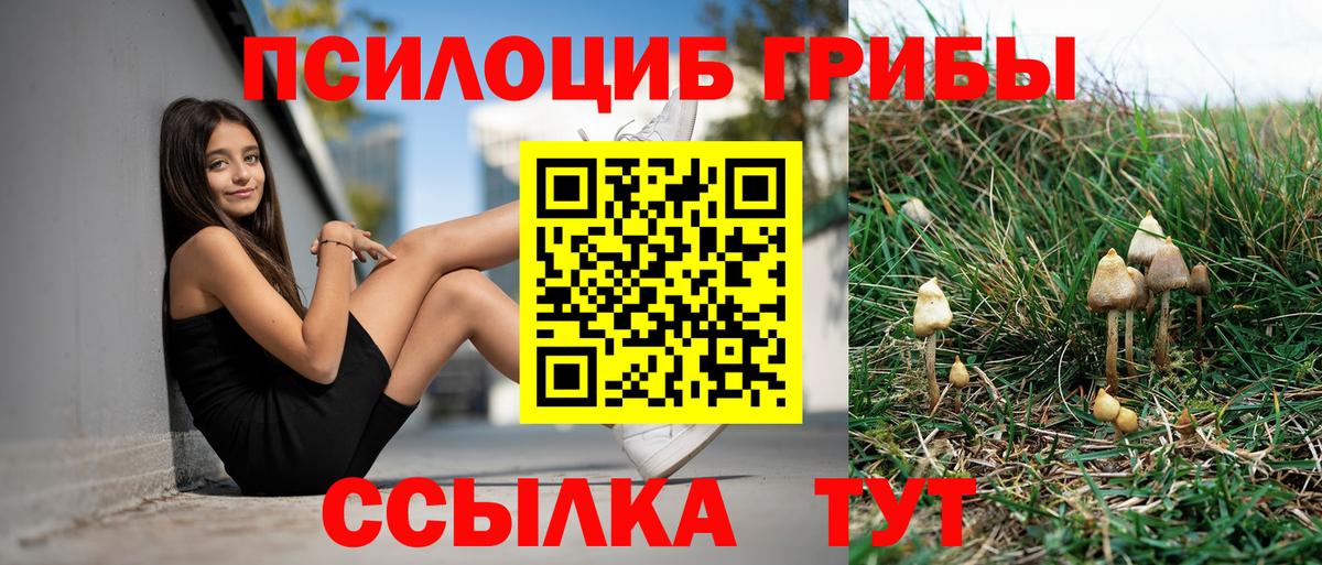 Галлюциногенные грибы прущие грибы  Вход с VPN  Кудрово 